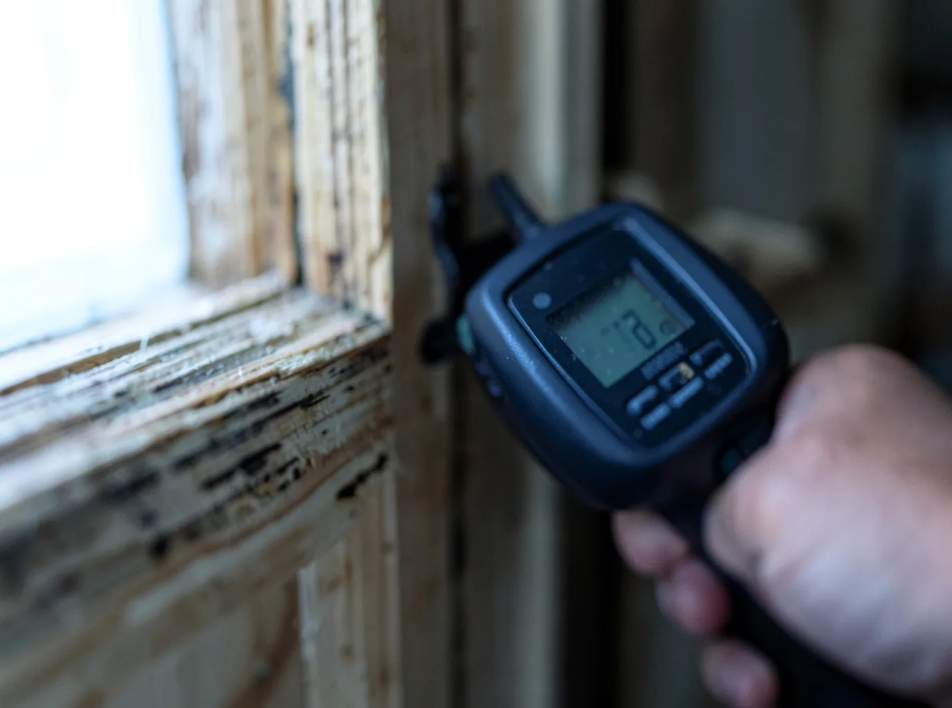 Moisture Inspection And Documentation in Collbran, CO